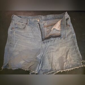 American Eagle Outfitters Light Blue Jean Shorts